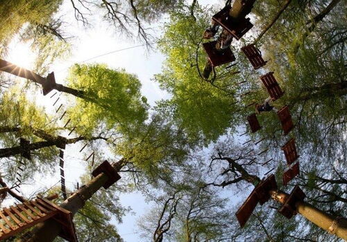 Kletterwald mit Plattformen